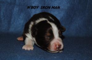 N boy iron man 3